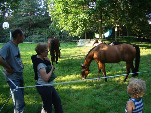 Camping du Gué Saint-Léonard - Camping Mayenne - Image N°4