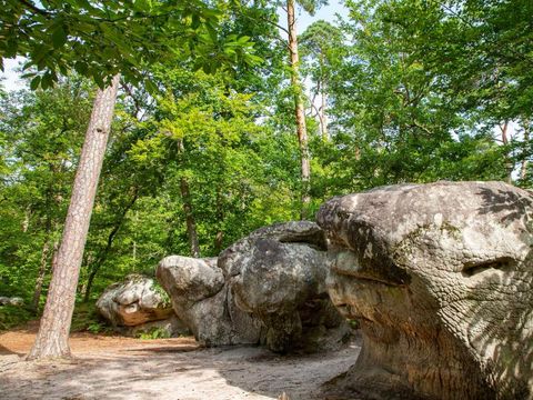 Camping Les Pres - Camping Seine-et-Marne - Image N°7
