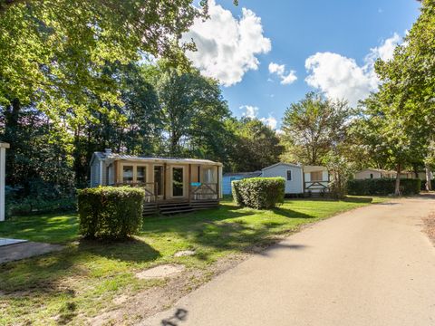 Camping Paradis Le Giessen - Camping Bas-Rhin - Image N°24