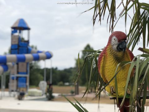 Monaco Parc - Camping Orne - Image N°4