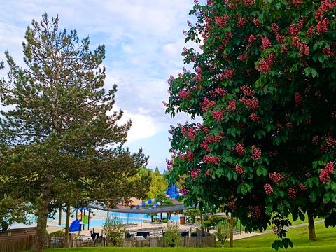 Monaco Parc - Camping Orne - Image N°38