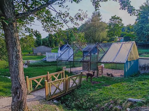 Monaco Parc - Camping Orne - Image N°47