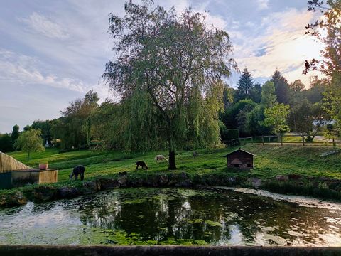 Monaco Parc - Camping Orne - Image N°40