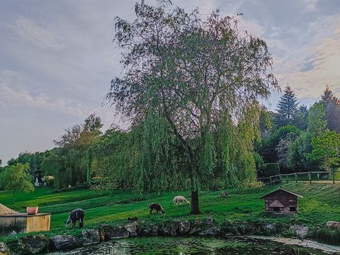 Monaco Parc - Camping Orne - Image N°45