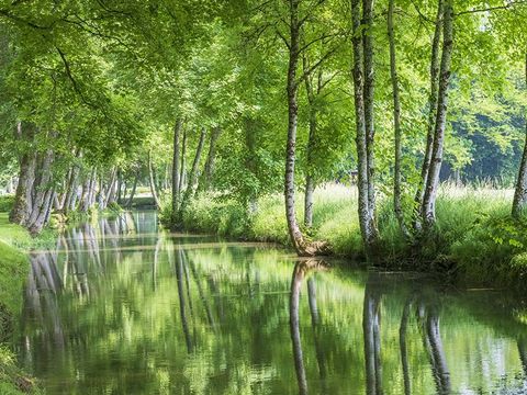 TENTE TOILE ET BOIS 5 personnes - LODGE SAFARI XL