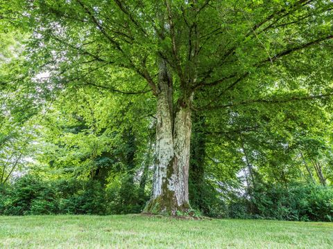 Camping du Buisson - Camping Haute-Marne - Image N°45
