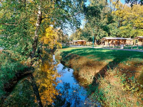 Camping du Buisson - Camping Haute-Marne - Image N°50
