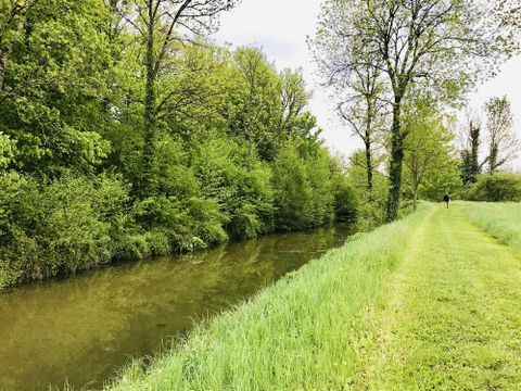 Camping du Buisson - Camping Haute-Marne - Image N°83