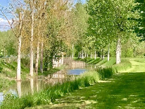 Camping du Buisson - Camping Haute-Marne - Image N°79
