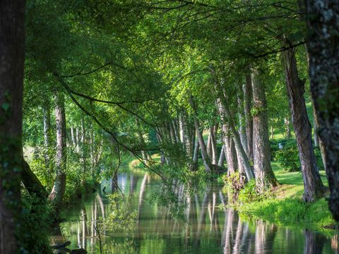 Camping du Buisson - Camping Haute-Marne - Image N°49