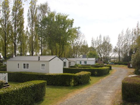 Camping du Loc'Han - Camping Côtes-d'Armor - Image N°15