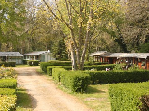 Camping du Loc'Han - Camping Côtes-d'Armor - Image N°14