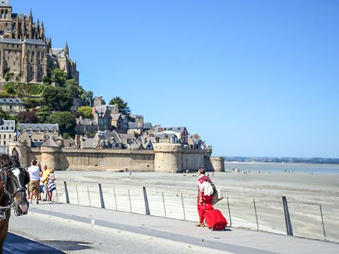 Camping Saint Grégoire - Camping Manche - Image N°11