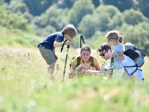 Camping Saint Grégoire - Camping Manche - Image N°7