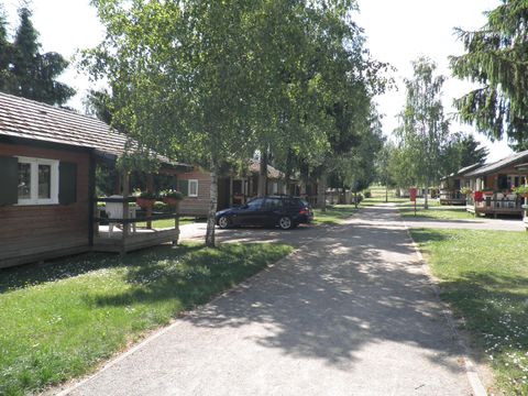 Camping de Wasselonne - Camping Bas-Rhin - Image N°9