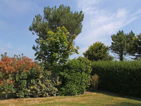 Emplacement - Nature  sans électricité
