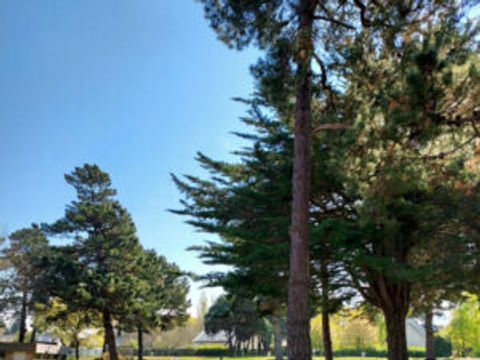 Camping Saint Michel - Camping Côtes-d'Armor - Image N°8