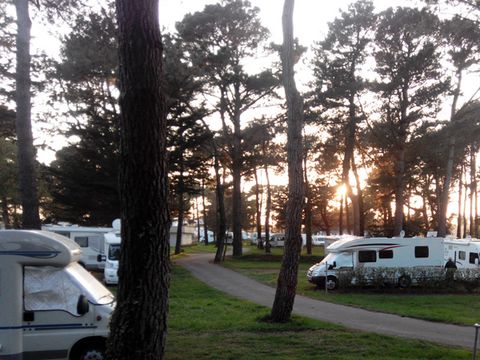 Camping Saint Michel - Camping Côtes-d'Armor - Image N°6