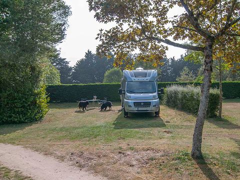 Camping Ode Vras - Camping Finistère - Image N°5
