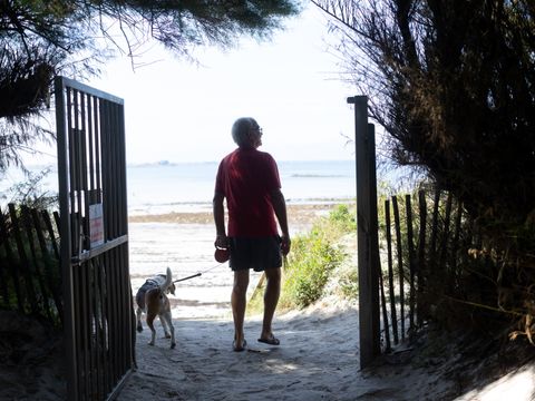 Camping Bel Air Villages - La Pointe de Roscoff - Camping Finistère - Image N°4