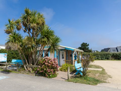 Camping Paradis - La Pointe de Roscoff - Camping Finistère - Image N°11