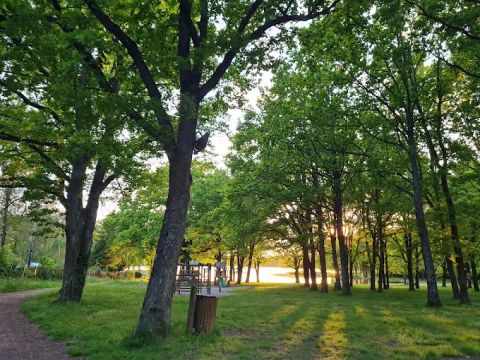 Camping La Tour Du Stock - Camping Moselle - Image N°5