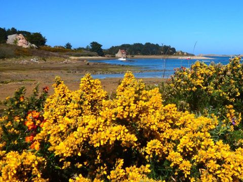 Camping Armor Loisirs - Camping Côtes-d'Armor - Image N°14