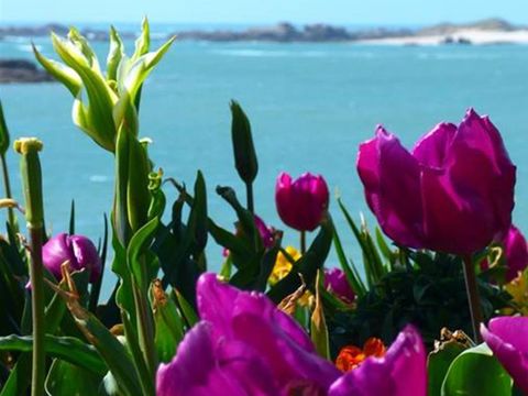 Camping Armor Loisirs - Camping Côtes-d'Armor - Image N°15