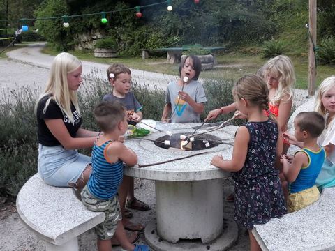 Camping Les Bouleaux - Camping Moselle - Image N°8
