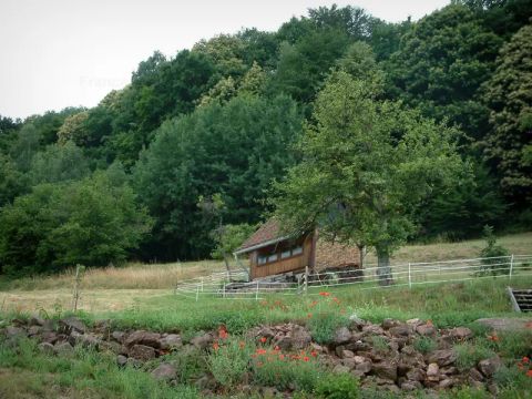 Camping Ramstein Plage - Camping Moselle - Image N°12