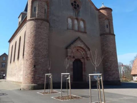 Camping Ramstein Plage - Camping Moselle - Image N°4