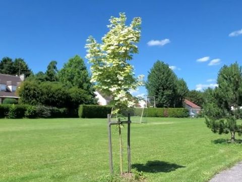 Camping De L'Abbatiale - Camping Oise - Image N°5