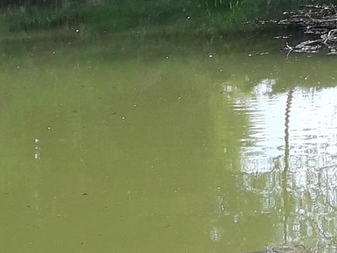 Camping le Picard - Camping Calvados - Image N°27