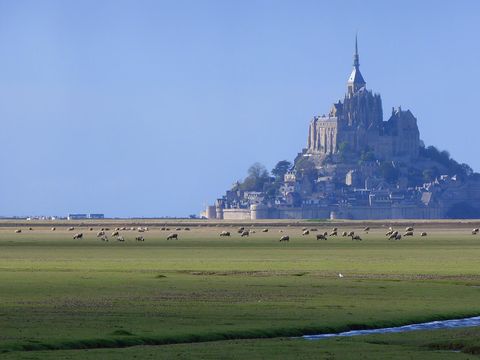 Camping le Picard - Camping Calvados - Image N°29