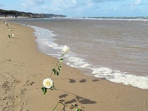 Camping le Picard - Camping Calvados - Image N°25