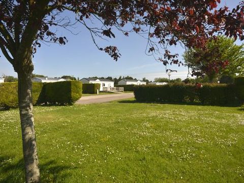 Camping Les Peupliers - Camping Calvados - Image N°21