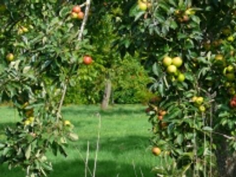 Camping Les Peupliers - Camping Calvados - Image N°46