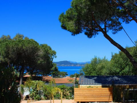 Camping Clair de Lune - Camping Var - Image N°15