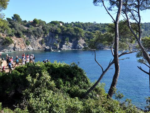 Camping Clair de Lune - Camping Var - Image N°17