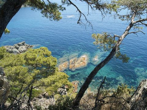 Camping Clair de Lune - Camping Var - Image N°16