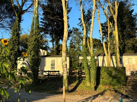 MOBILHOME 2 personnes - 02-Mobil-Home Mitoyen Standard 17m2 (1ch - 1/2 pers.) + TV + Clim - prix pour 2 personnes