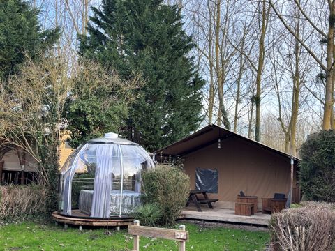 TENTE TOILE ET BOIS 2 personnes - 17-Tente safari Woody Deluxe 30m2 (2ch - 2/5 pers.) + Jaccuzzi + Lits faits + serviette + kit boisson - prix pour 2 personnes