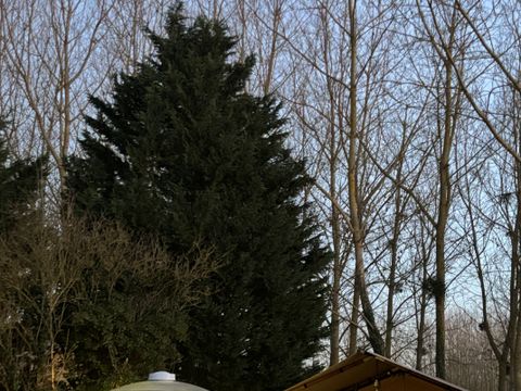 Tente en toile et en bois 2 personnes - 17-Tente safari Woody Deluxe 30m2 (2ch - 2/5 pers.) + Jaccuzzi + Lits faits + serviette + kit boisson - prix pour 2 personnes