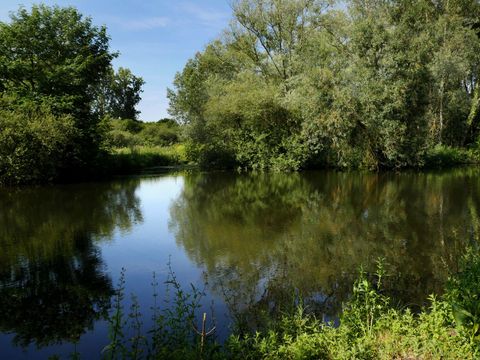 Camping des Cygnes - Camping Somme - Image N°8