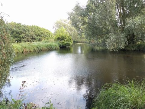 Camping Les Etangs du Levant - Camping Somme - Image N°17