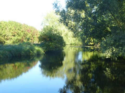 Camping Les Etangs du Levant - Camping Somme - Image N°15