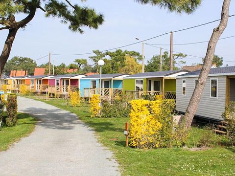 MOBILHOME 4 personnes - MOBIL HOME CONFORT DIM  plaque gaz refrigérateur  vaisselle télévision