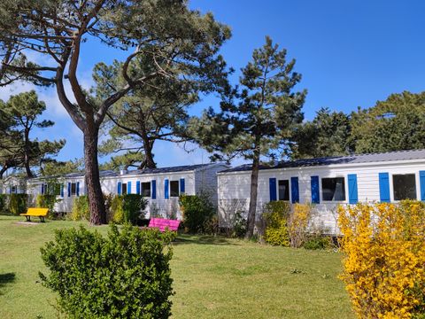Camping Paradis Les Galets de la Mollière - Camping Somme - Image N°14