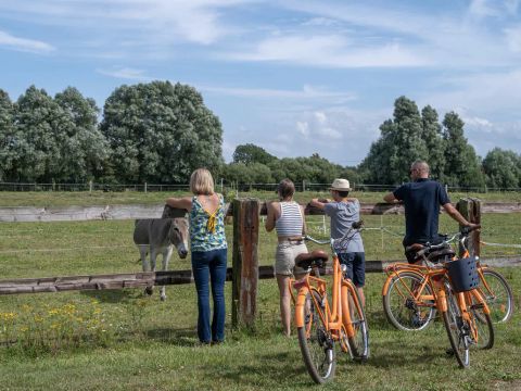 Flower Camping les Aubepines - Camping Somme - Image N°35