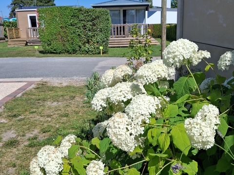 Camping Le Clos Des Genêts - Camping Somme - Image N°27